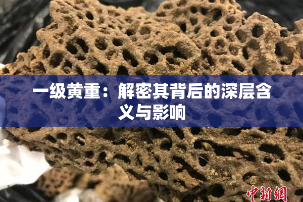 一级黄重：解密其背后的深层含义与影响