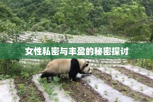 女性私密与丰盈的秘密探讨