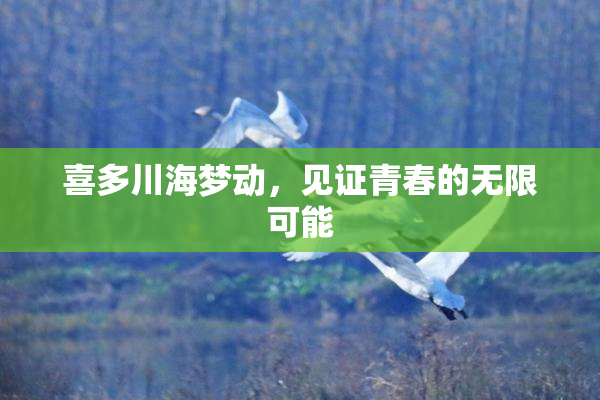 喜多川海梦动，见证青春的无限可能