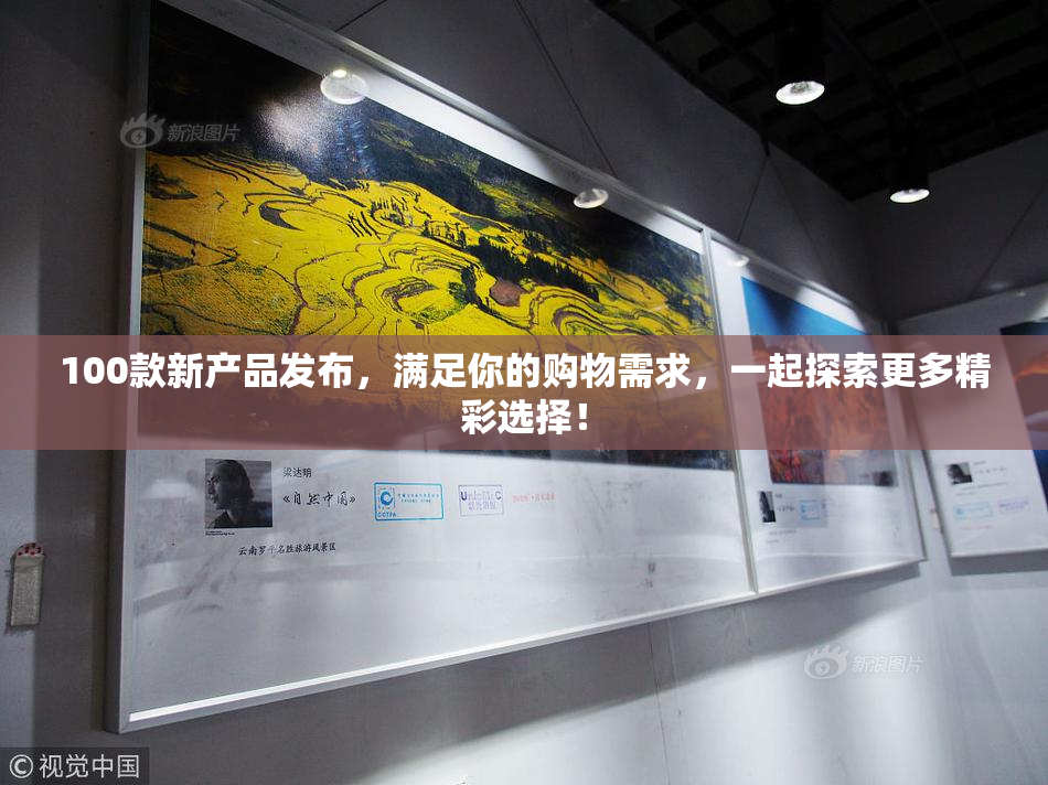 100款新产品发布，满足你的购物需求，一起探索更多精彩选择！