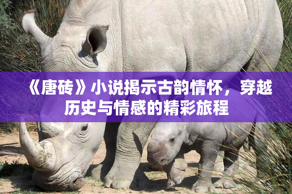 《唐砖》小说揭示古韵情怀，穿越历史与情感的精彩旅程
