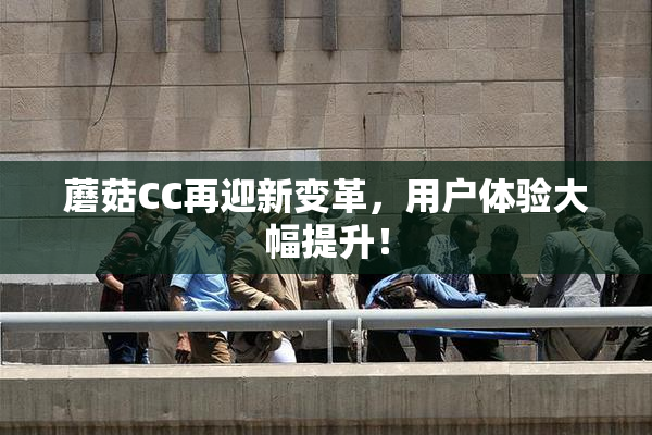 蘑菇CC再迎新变革，用户体验大幅提升！
