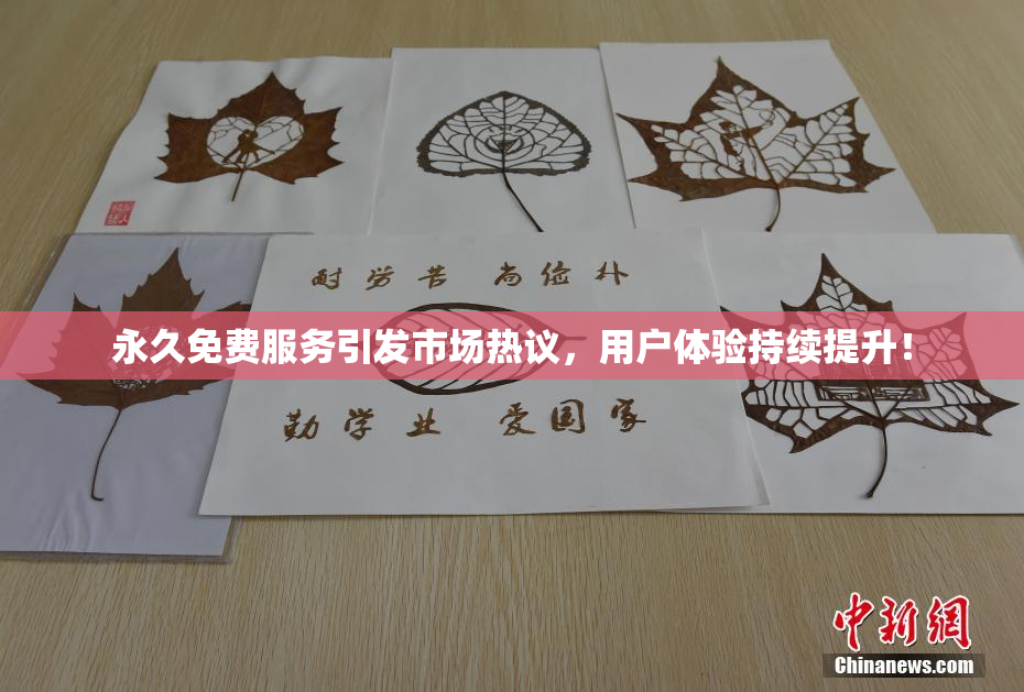 永久免费服务引发市场热议，用户体验持续提升！