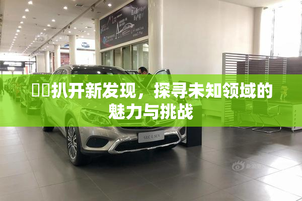 妺妺扒开新发现，探寻未知领域的魅力与挑战