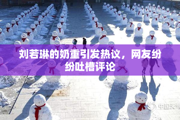 刘若琳的奶重引发热议，网友纷纷吐槽评论