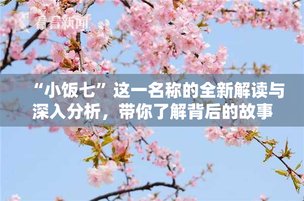 “小饭七”这一名称的全新解读与深入分析，带你了解背后的故事与文化。