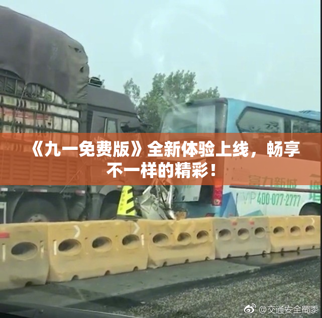 《九一免费版》全新体验上线，畅享不一样的精彩！