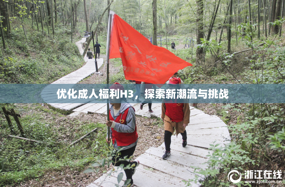 优化成人福利H3，探索新潮流与挑战