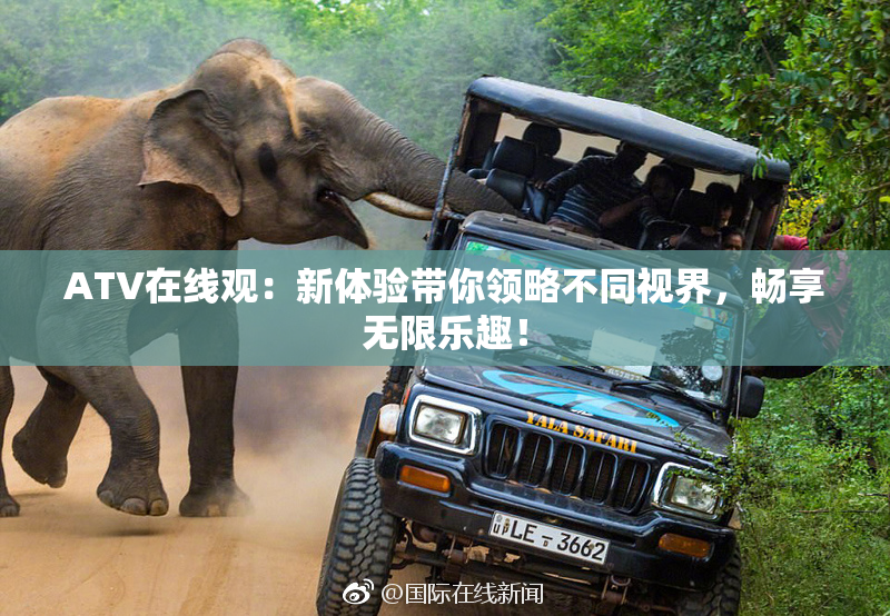 ATV在线观：新体验带你领略不同视界，畅享无限乐趣！
