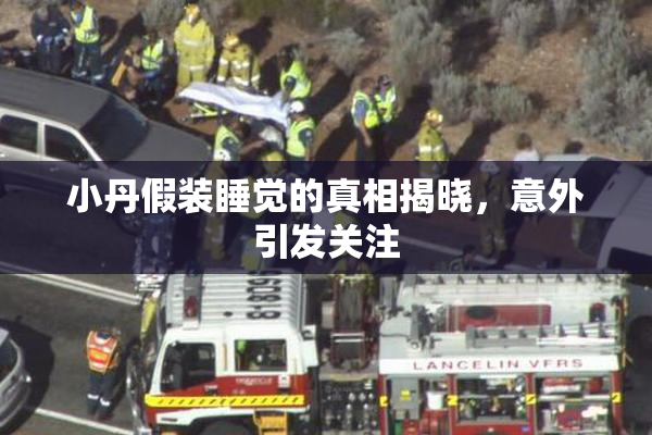小丹假装睡觉的真相揭晓，意外引发关注