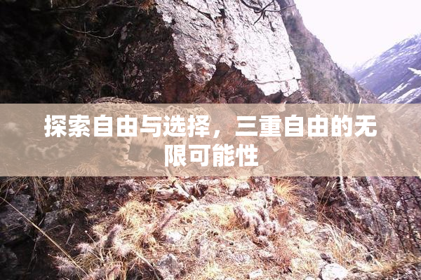 探索自由与选择，三重自由的无限可能性