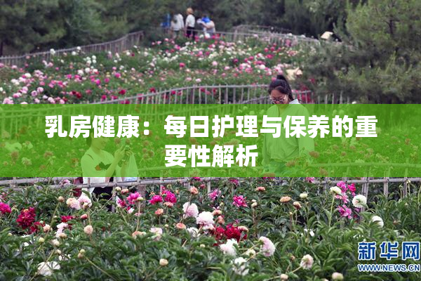 乳房健康：每日护理与保养的重要性解析