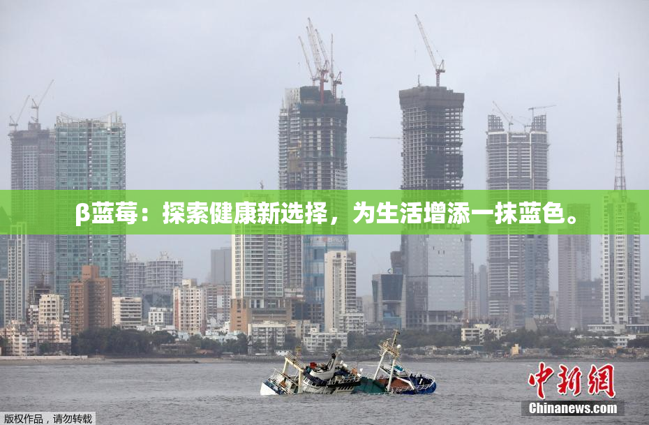 β蓝莓：探索健康新选择，为生活增添一抹蓝色。