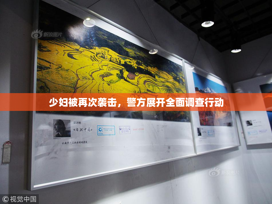 少妇被再次袭击，警方展开全面调查行动