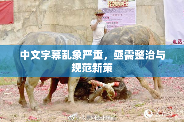 中文字幕乱象严重，亟需整治与规范新策