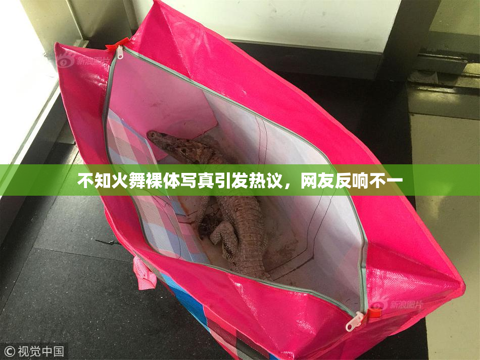 不知火舞裸体写真引发热议，网友反响不一