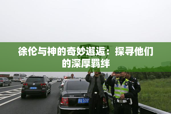 徐伦与神的奇妙邂逅：探寻他们的深厚羁绊