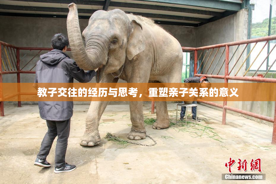 教子交往的经历与思考，重塑亲子关系的意义