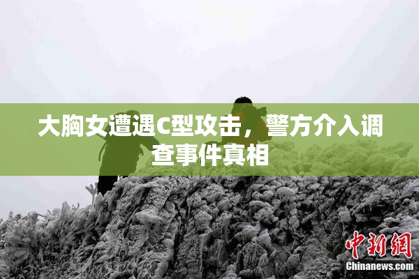 大胸女遭遇C型攻击，警方介入调查事件真相