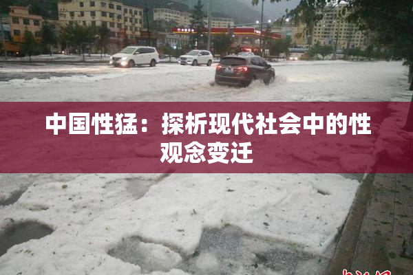 中国性猛：探析现代社会中的性观念变迁
