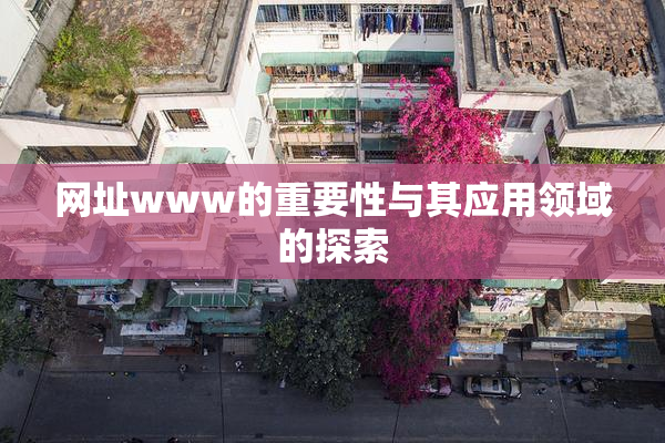 网址www的重要性与其应用领域的探索