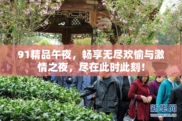 91精品午夜，畅享无尽欢愉与激情之夜，尽在此时此刻！