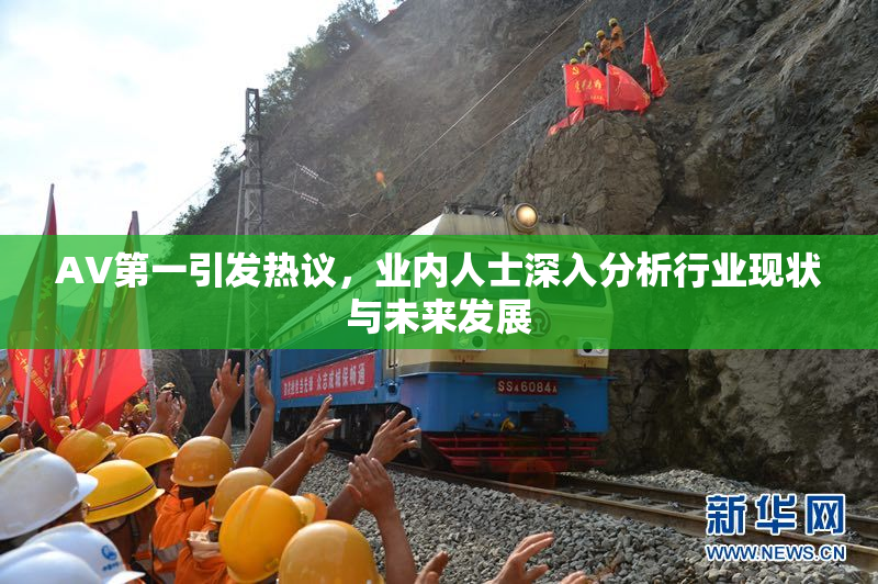 AV第一引发热议，业内人士深入分析行业现状与未来发展