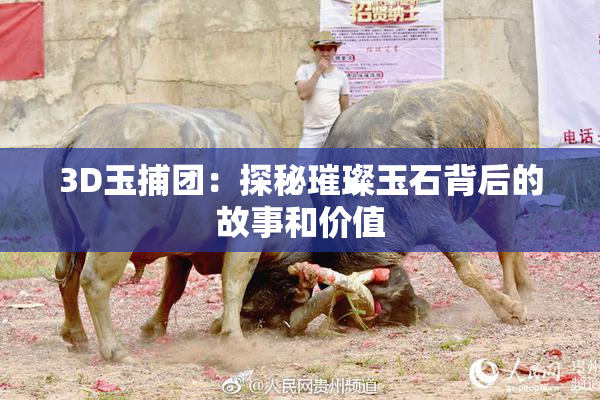 3D玉捕团：探秘璀璨玉石背后的故事和价值
