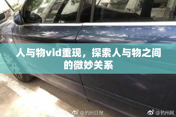 人与物vid重现，探索人与物之间的微妙关系