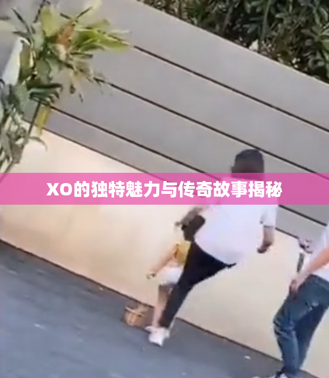 XO的独特魅力与传奇故事揭秘