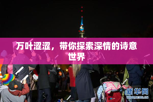 万叶涩涩，带你探索深情的诗意世界
