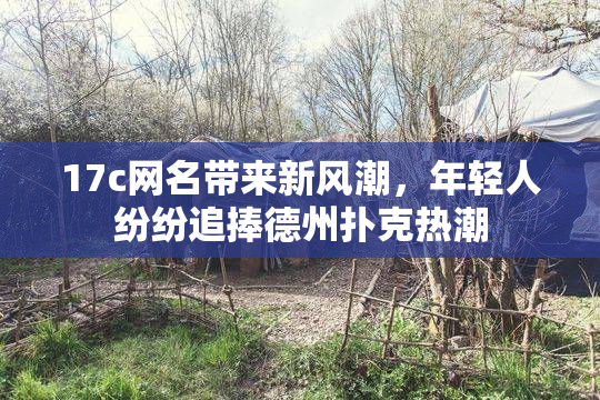17c网名带来新风潮，年轻人纷纷追捧德州扑克热潮