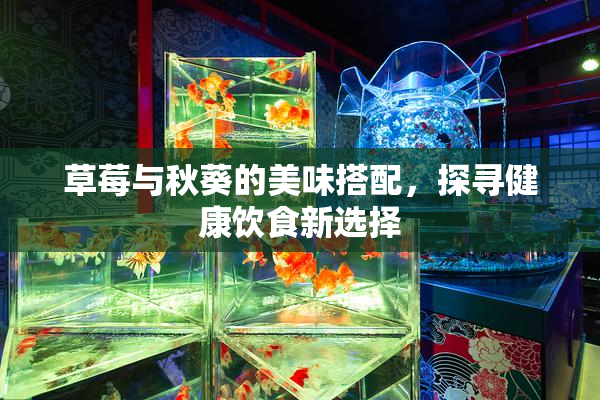 草莓与秋葵的美味搭配，探寻健康饮食新选择
