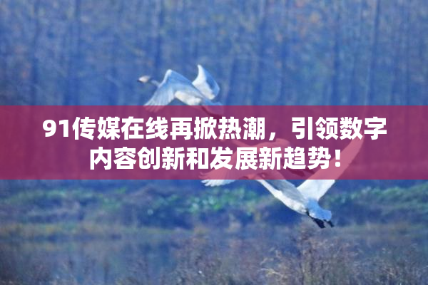 91传媒在线再掀热潮，引领数字内容创新和发展新趋势！