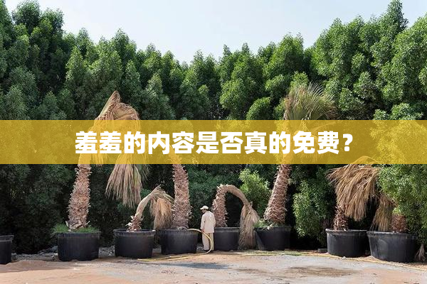羞羞的内容是否真的免费？
