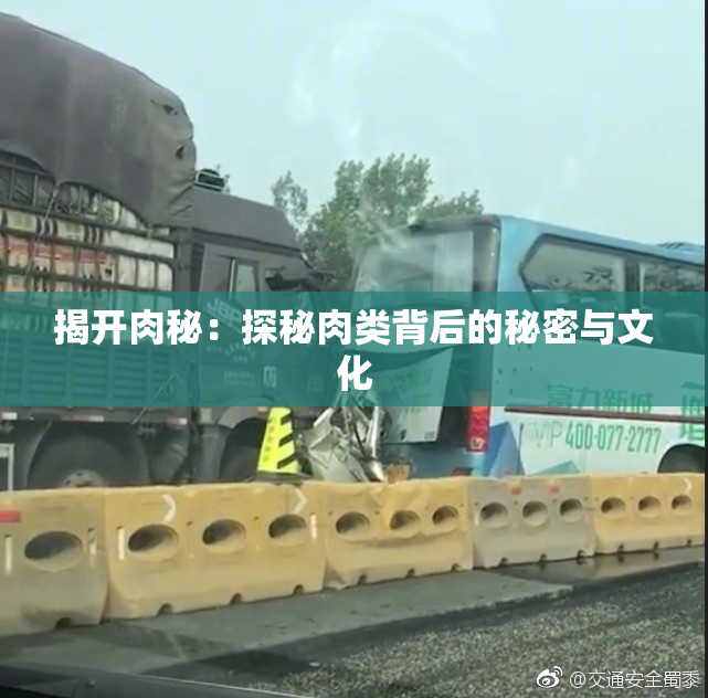 揭开肉秘：探秘肉类背后的秘密与文化