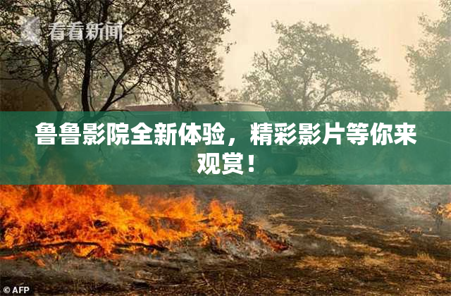 鲁鲁影院全新体验，精彩影片等你来观赏！