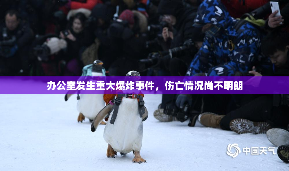 办公室发生重大爆炸事件，伤亡情况尚不明朗