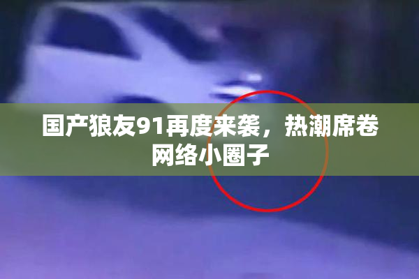 国产狼友91再度来袭，热潮席卷网络小圈子