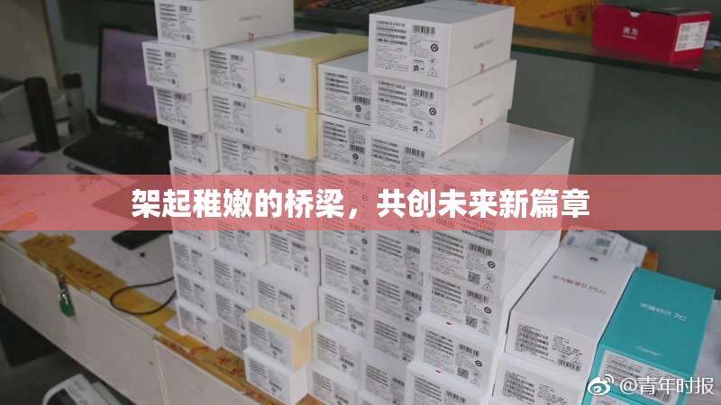架起稚嫩的桥梁，共创未来新篇章