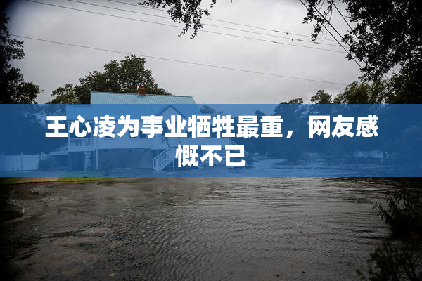 王心凌为事业牺牲最重，网友感慨不已