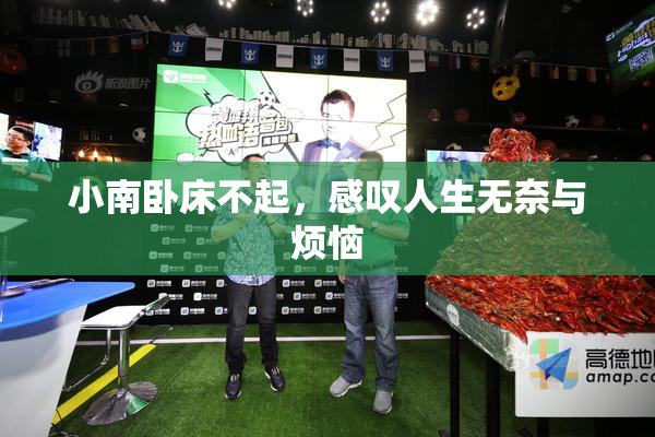 小南卧床不起，感叹人生无奈与烦恼