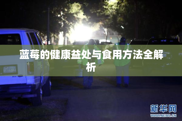 蓝莓的健康益处与食用方法全解析