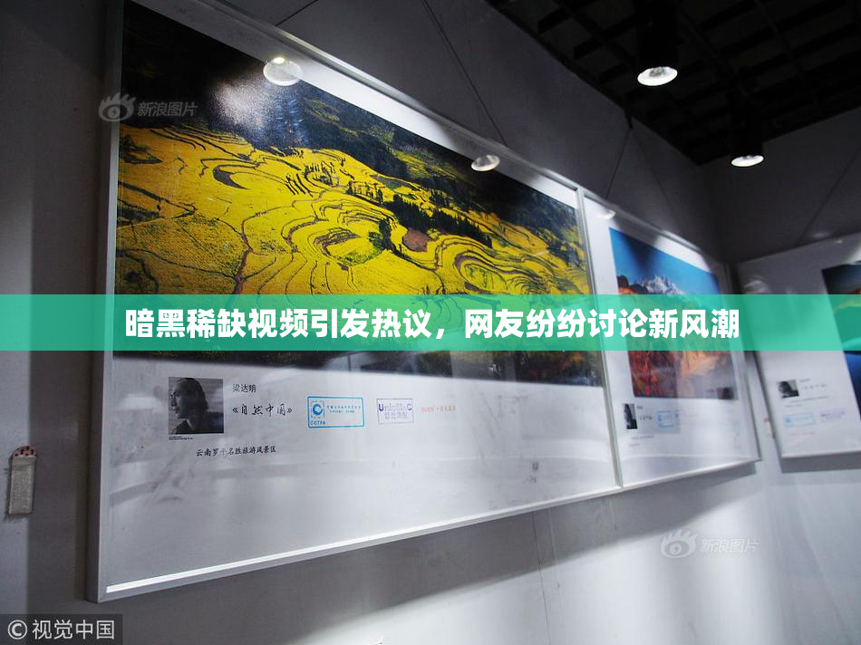 暗黑稀缺视频引发热议，网友纷纷讨论新风潮