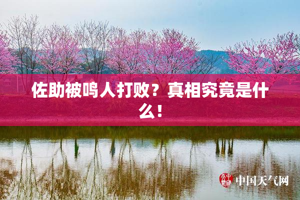 佐助被鸣人打败？真相究竟是什么！