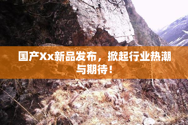国产Xx新品发布，掀起行业热潮与期待！