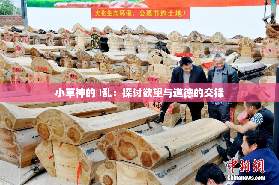 小草神的婬乱：探讨欲望与道德的交锋