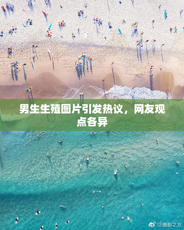 男生生殖图片引发热议，网友观点各异