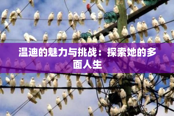 温迪的魅力与挑战：探索她的多面人生