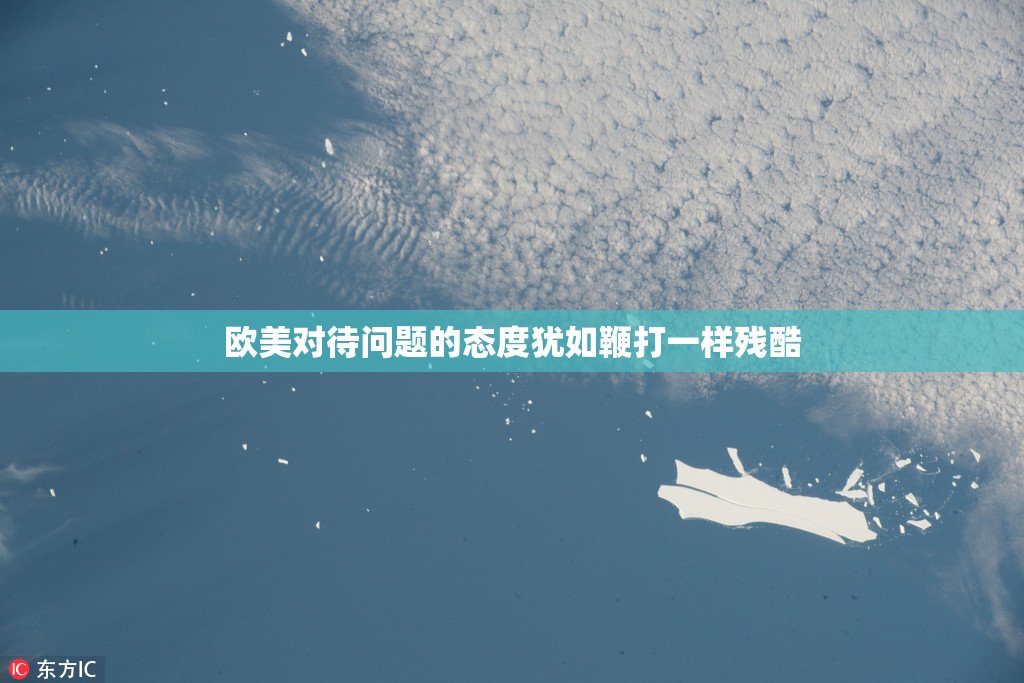 欧美对待问题的态度犹如鞭打一样残酷